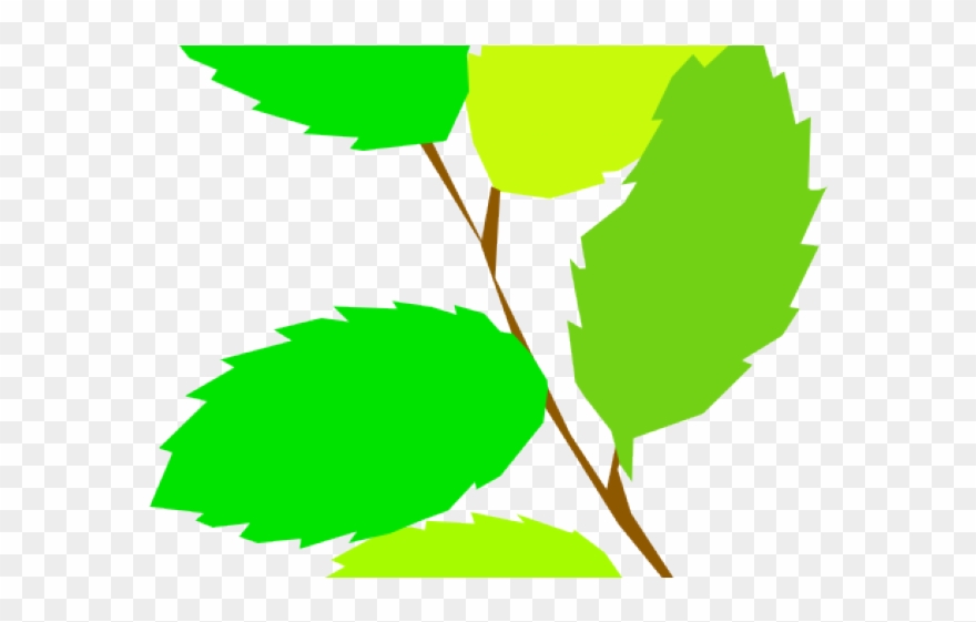 Green Leaves Clipart 5 Leave - Png Download