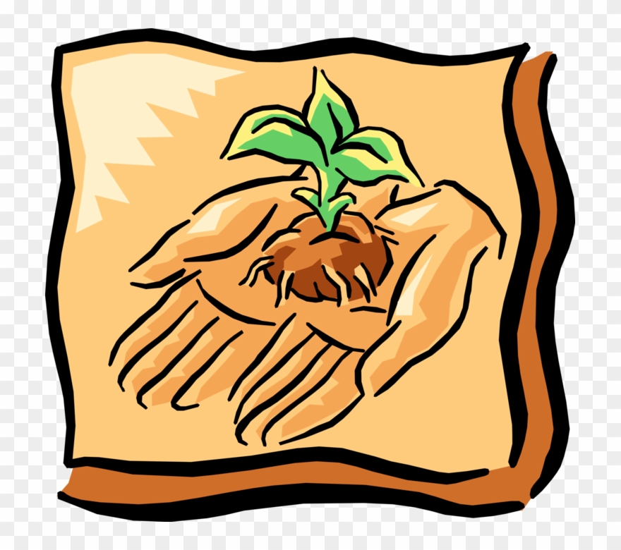 Vector Illustration Of Hands Hold And Nurture Sprouting Clipart