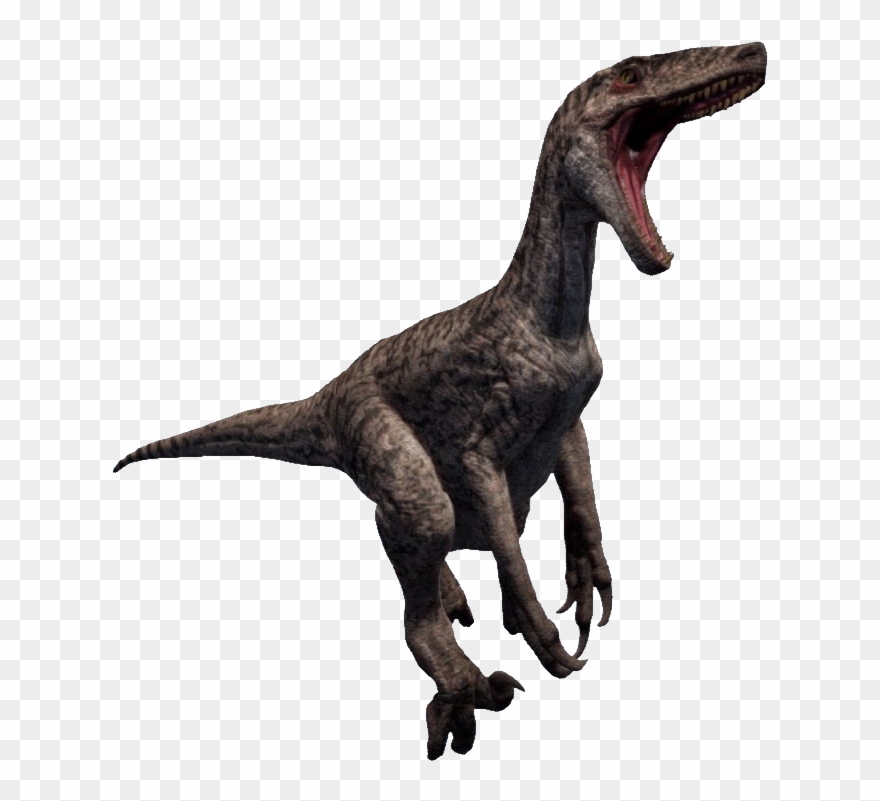 Raptor Png Clip Freeuse Stock Transparent Png