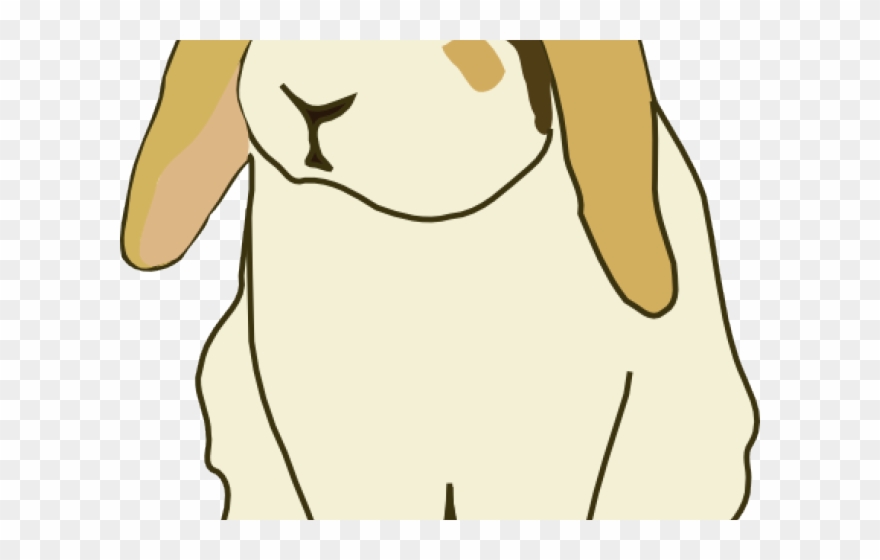 Bunny Clipart Mini Lop - Png Download