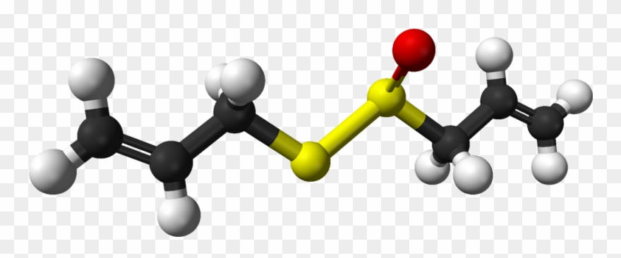 R Allicin 3d Balls Clipart
