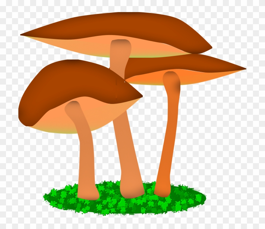 Illustration Friday - “mushroom” Clipart
