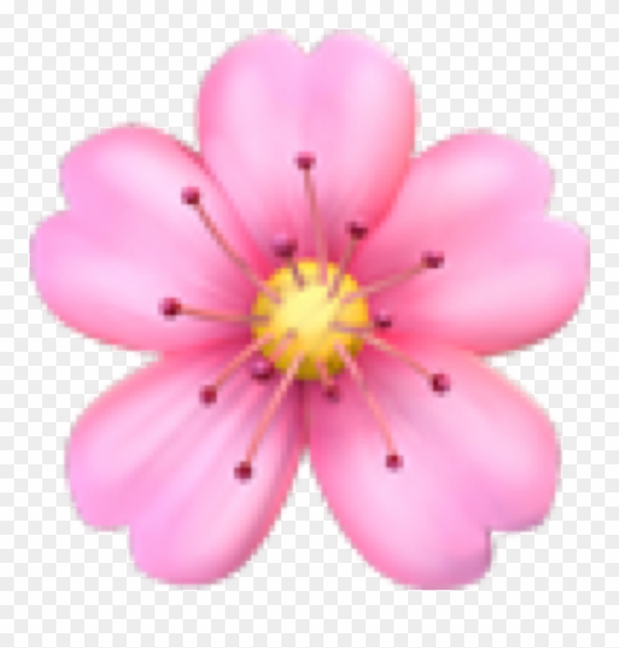Flower Flowers Flor Emoji Emojiwhatsapp Iphone Emojiiph Clipart