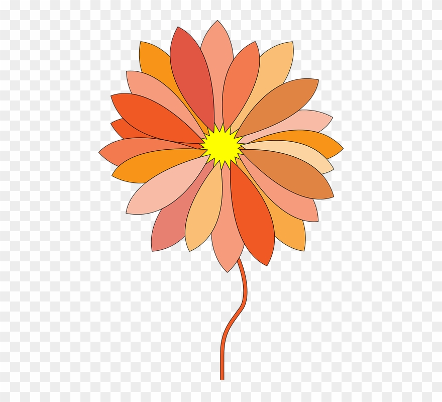 Orange Flower Clipart Detailed Flower - Png Download