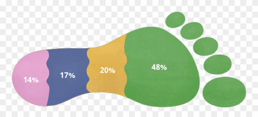 Graph Of Causes Of Vancouver's Ecological Footprint Clipart
