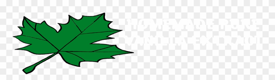 Homemade Pure Vanilla Extract Clipart