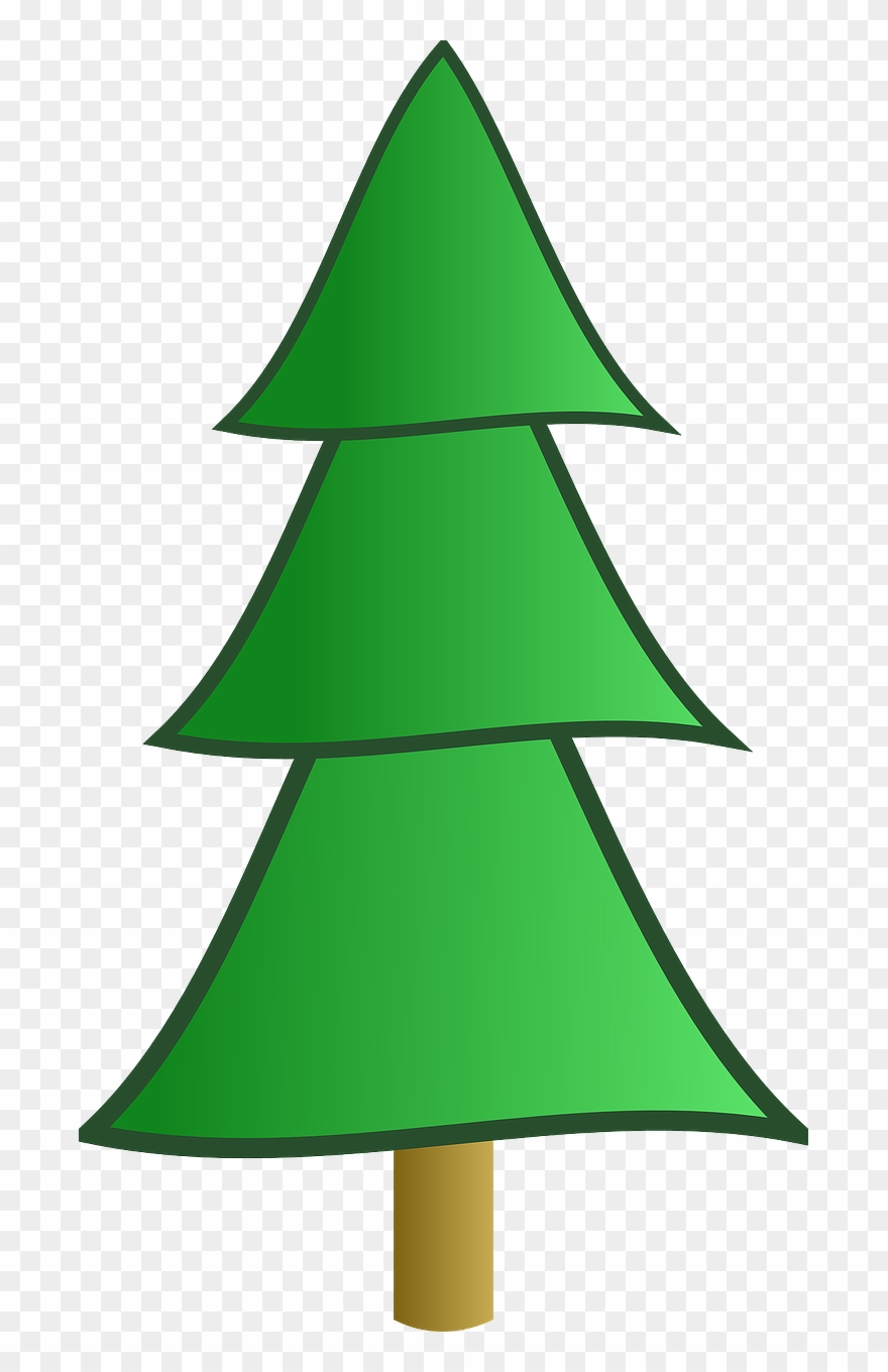 Conifer Clip Art - Png Download