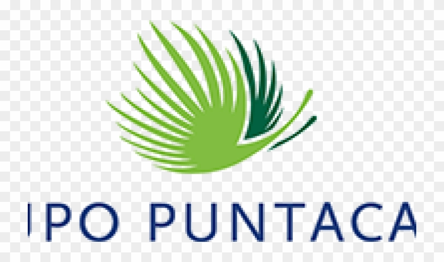 Grupo Puntacana Entre Las 20 Empresas Dominicanas Más Clipart