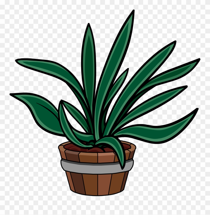 2000cb=20181021200303 Clipart