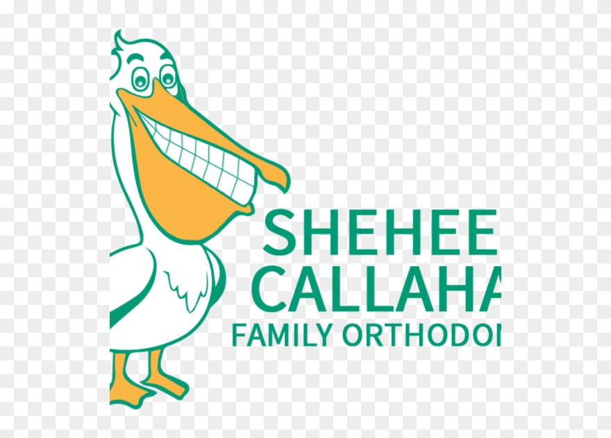 Shehee Callahan Family Orthodontics Orthodontist Navarre Clipart