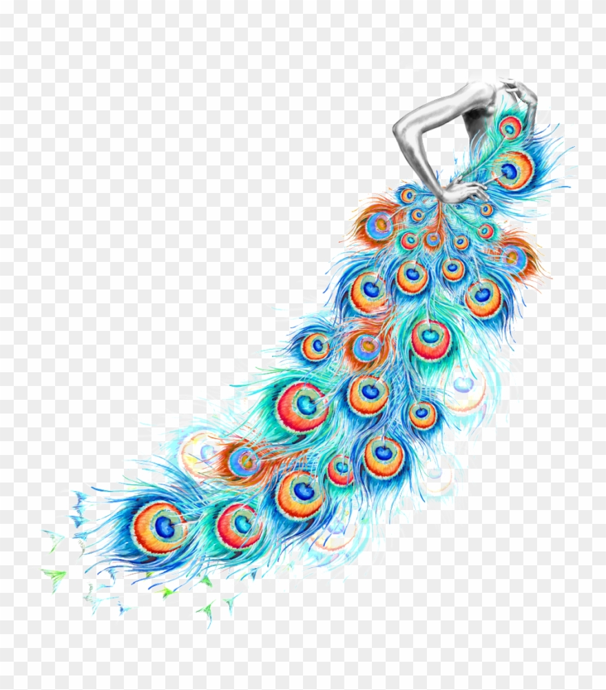 Watercolor Painting Feather Designer Clipart