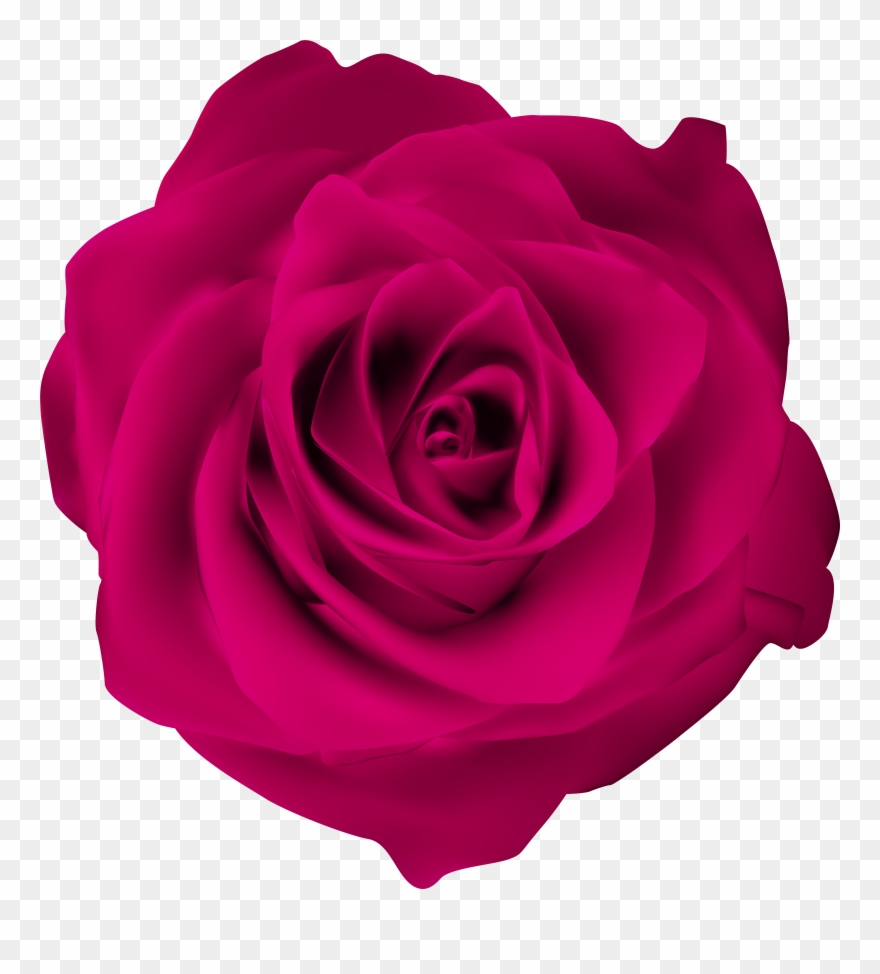 Pink Peony Clipart - Png Download