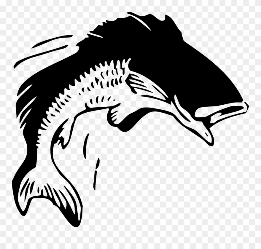 Info Clipart