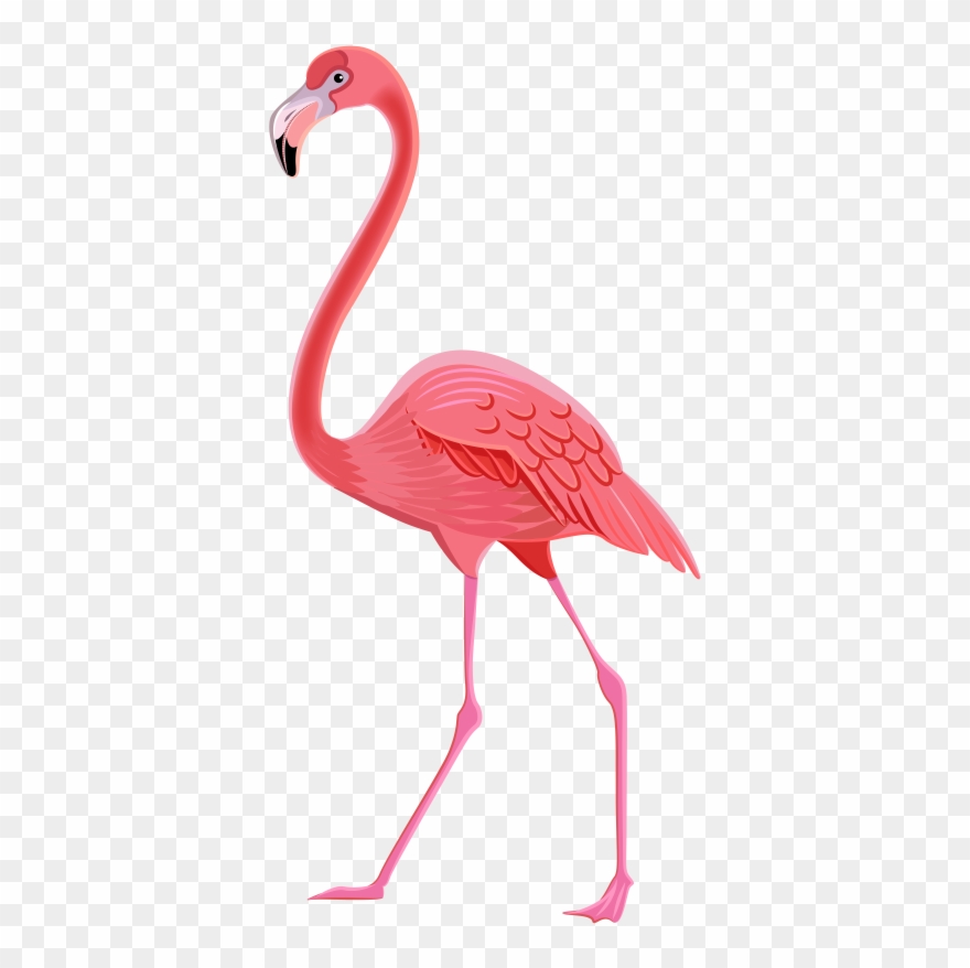 Flamingo Png Transparent Clip Art Image