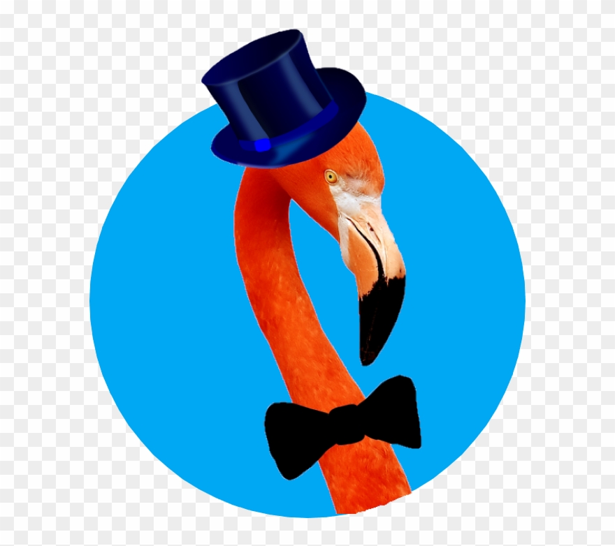 Digital Marketing Flamingo Clipart