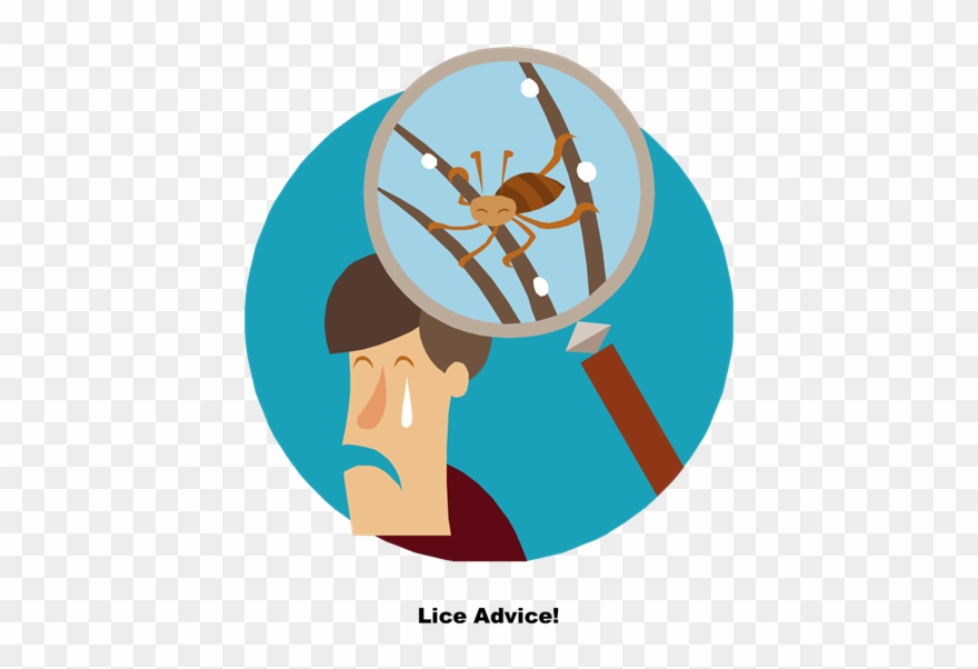 Lice Information Clipart