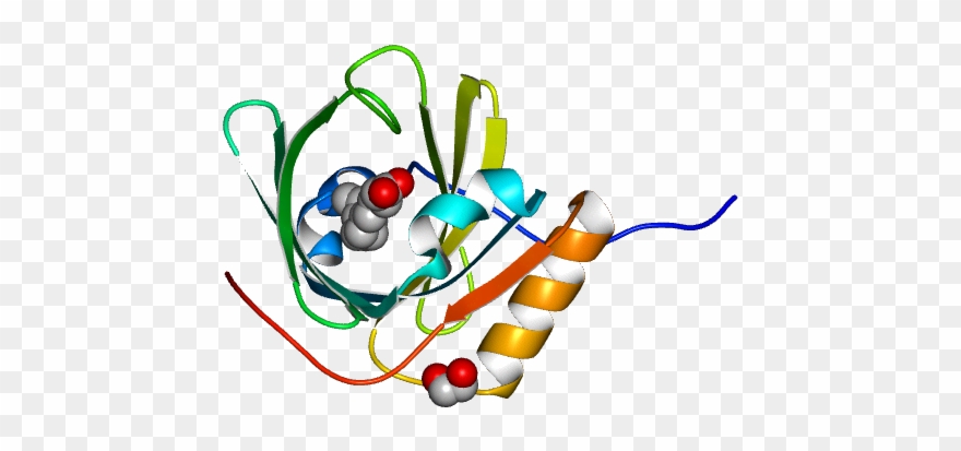 No Rotation Molmil Generated Image Of 2wew Clipart