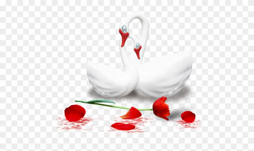 Explore These Ideas And Much More Clipart