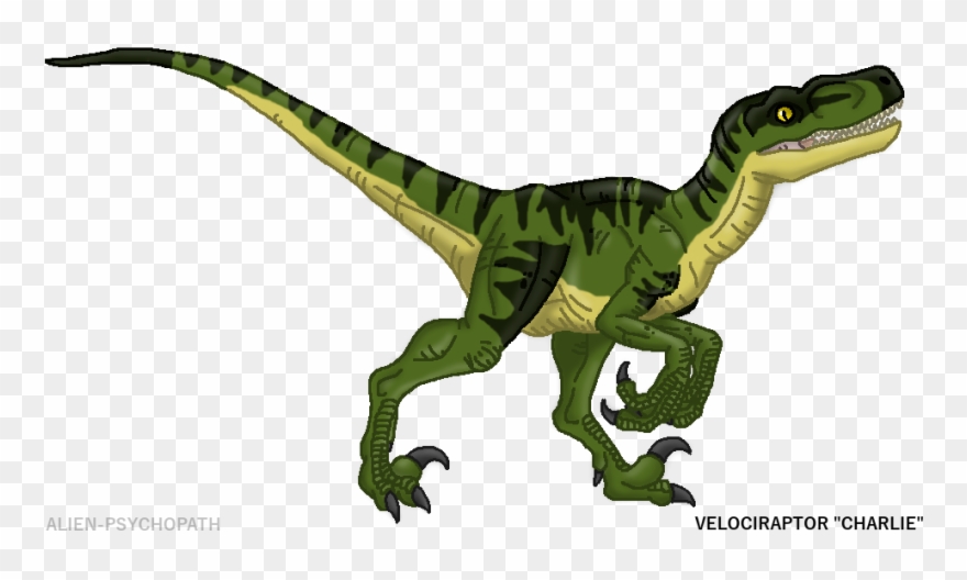 Velociraptor Clipart Baby Blue - Png Download
