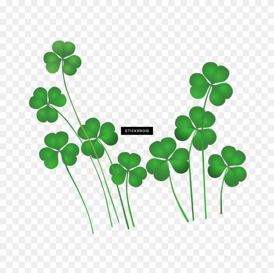Saint Patrick's Day Clipart