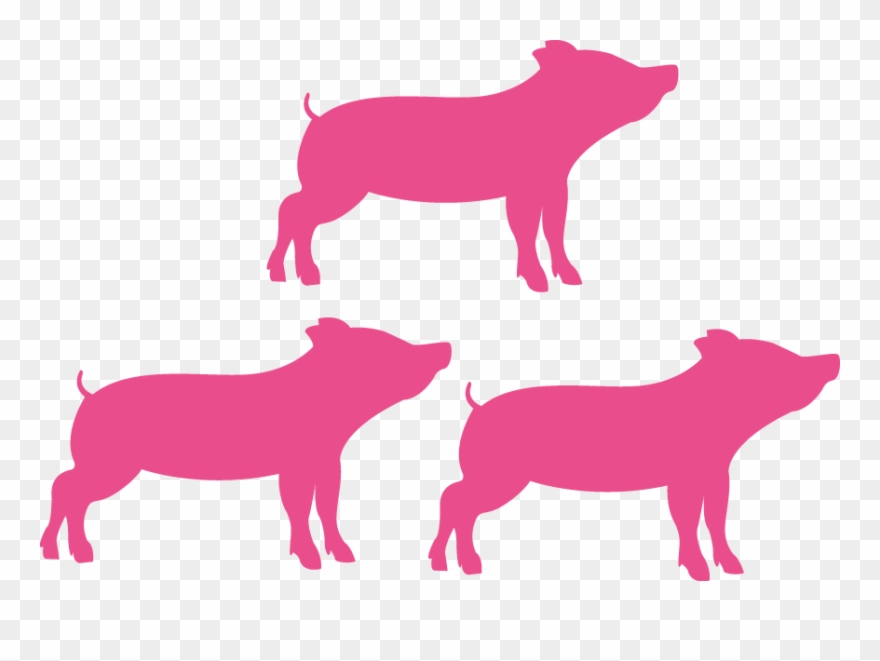 Topigs Norsvin Pigs Are Vigorous, Which Means They Clipart