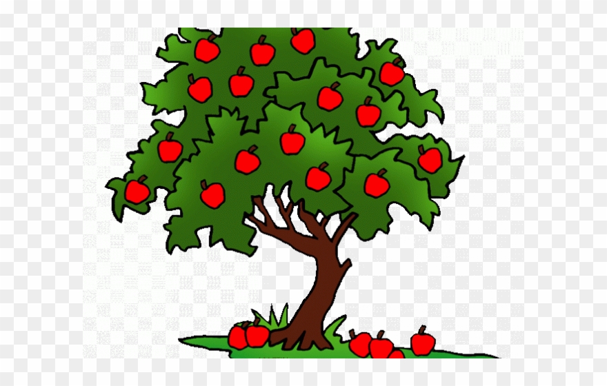 Seeds Clipart Tree Clip Art - Png Download