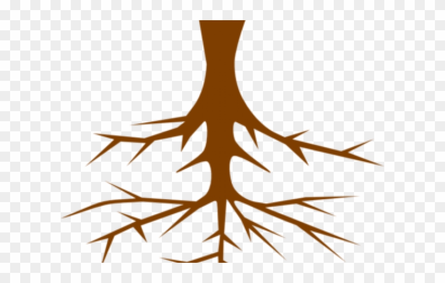 Roots Clipart Plant Root - Png Download