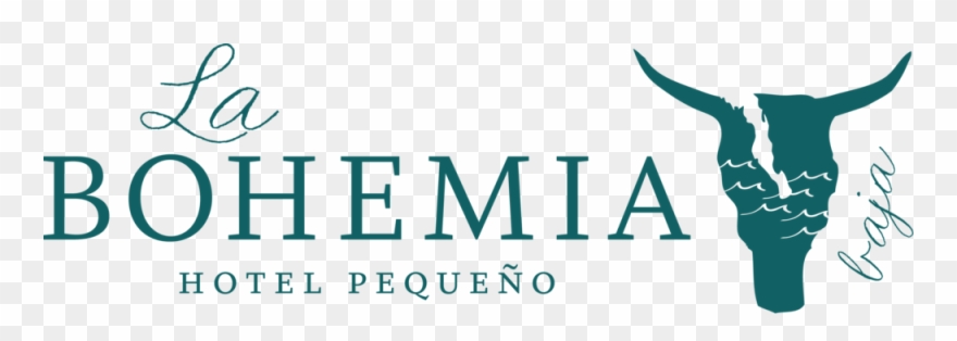 Visit Our Sister Property In Downtown Todos Santos Clipart