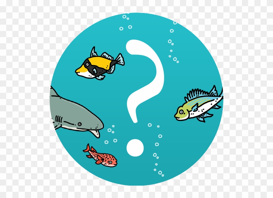 The What On Earth Timeline Of British History Ten Question Clipart