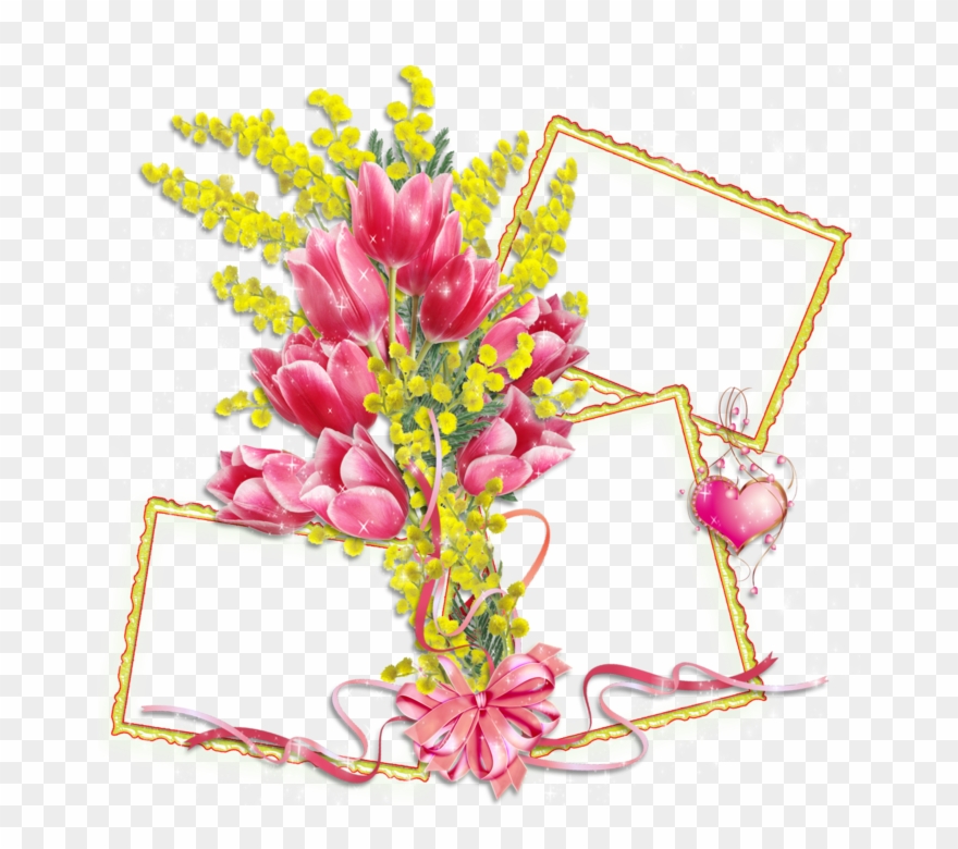 Mimosa Frames Clipart