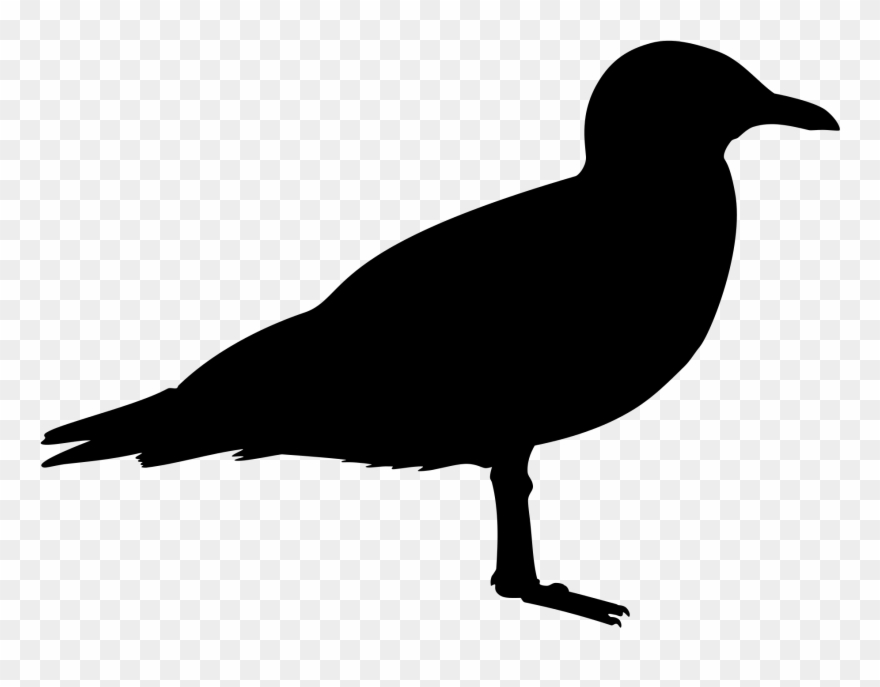 New Zealand Silhouette At Getdrawings Clipart