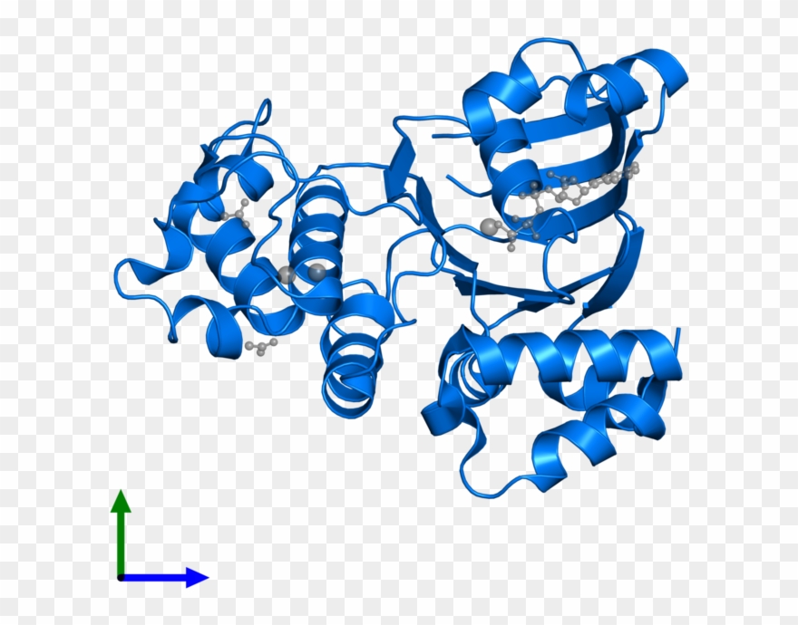 <div Class='caption-body'>pdb Entry 1xfa Contains 1 Clipart