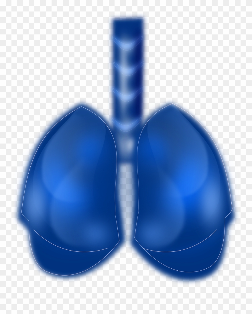 This New Method For Obtaining Stem Cells Could Benefit Clipart