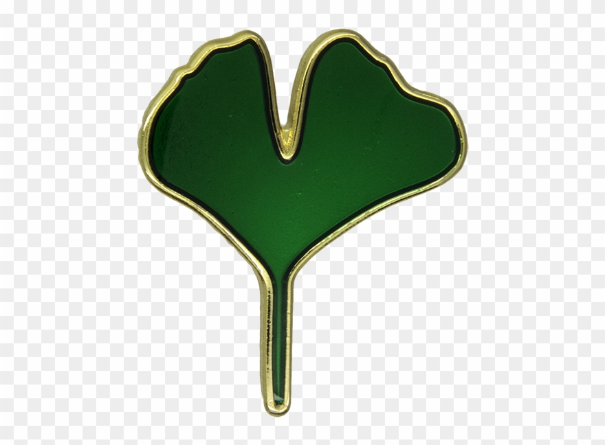 Ginkgo Biloba Leaf Pin Clipart