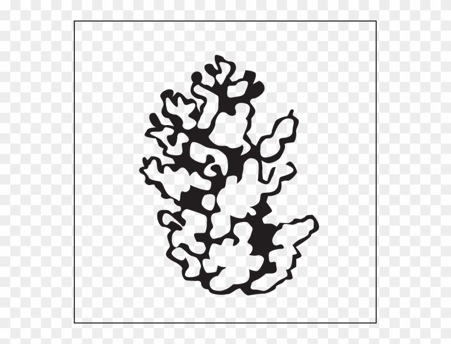 Plant Form Clipart