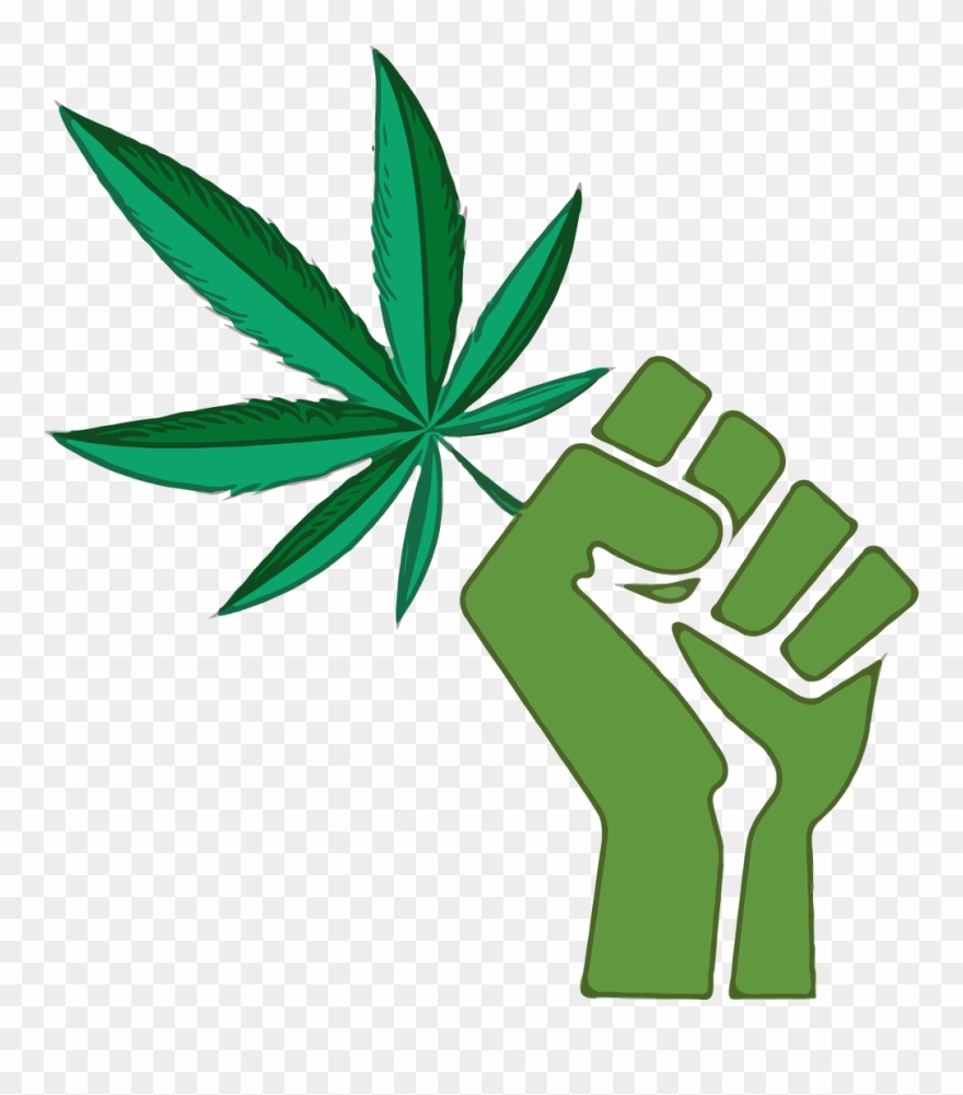 It's Because Civil Society, The Conscience Of A Country, Clipart