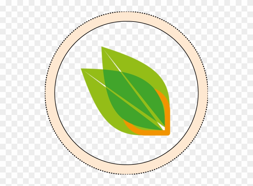 Key Ingredients Scientifically Proven To Support The Clipart