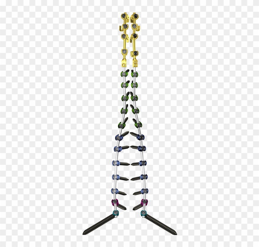 Tiger Deformity Clipart