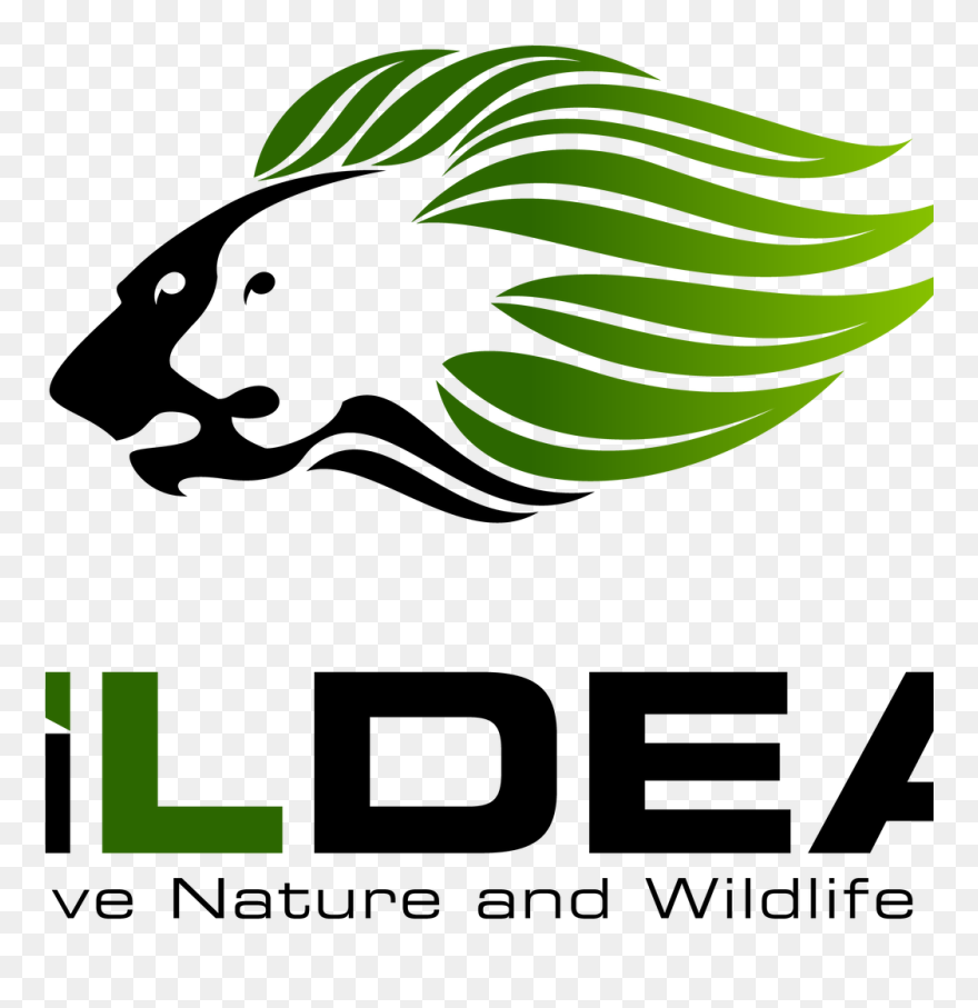 Wildeas In An Independent, Interdisciplinary Service Clipart