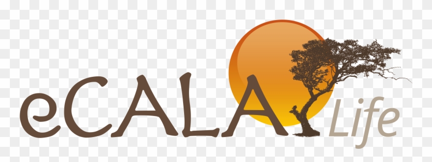 1n 2019, We Will Deliver All Leadership Programmes Clipart