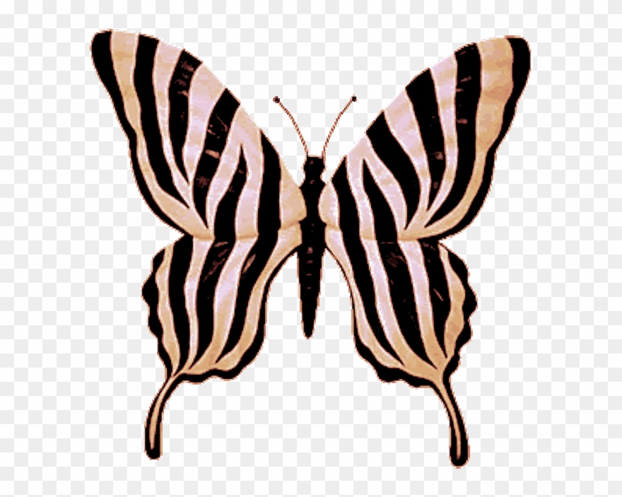 Papillon Hd Zebre Clipart