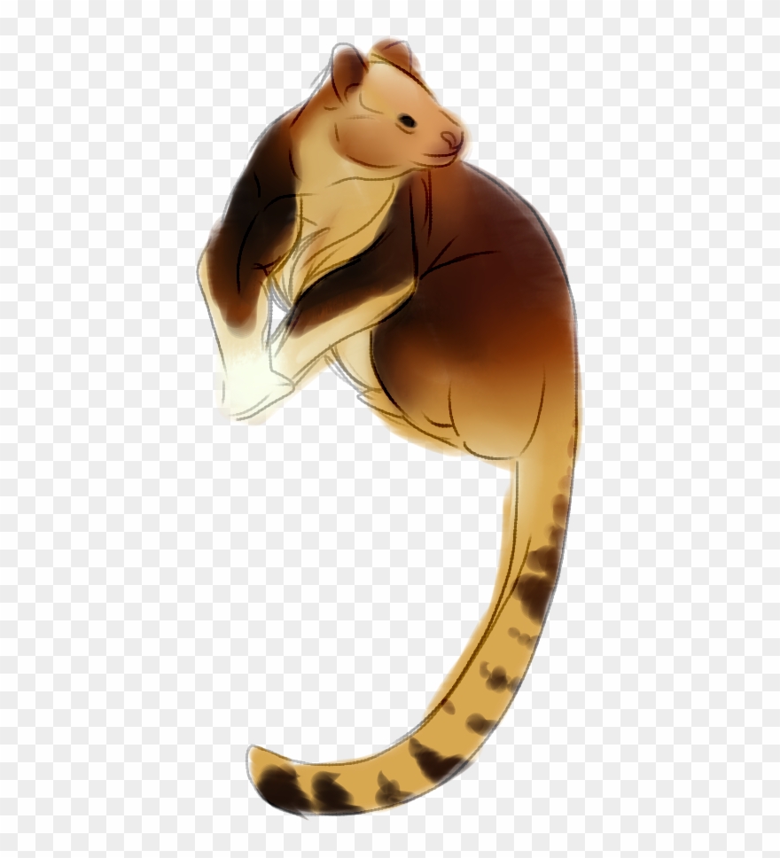 Berikut Ini Adalah Spesies Yang Masuk Ke Dalam Genus Clipart