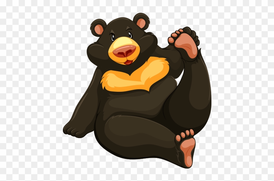 Clipart Ayı - Png Download