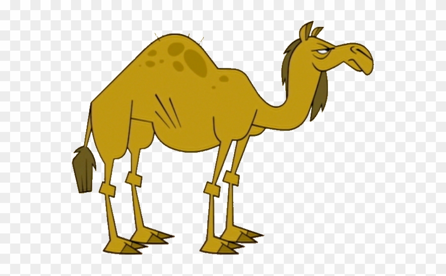 Camel - Clipart