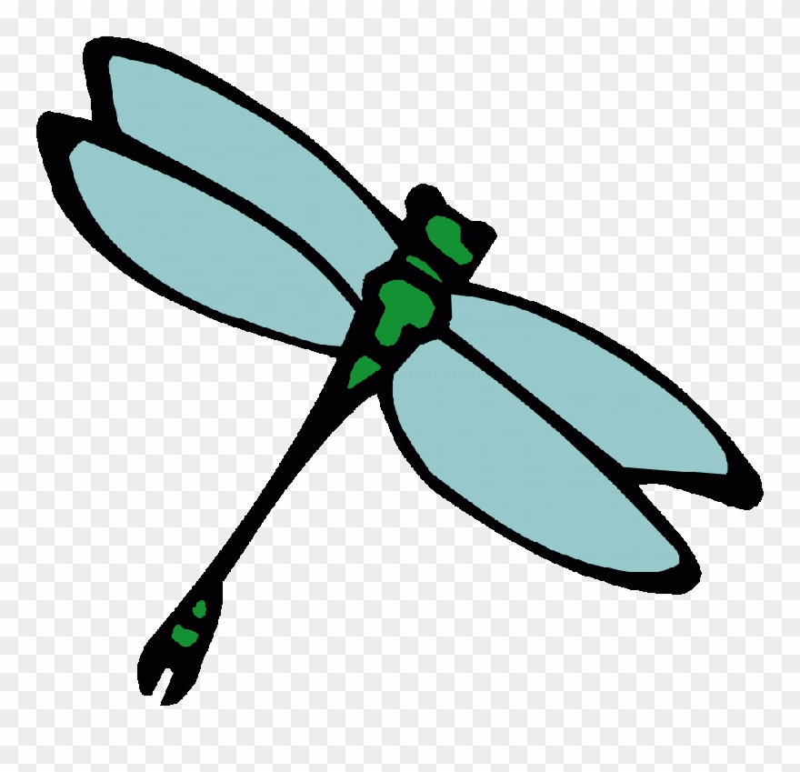 Dragonfly Image Clipart