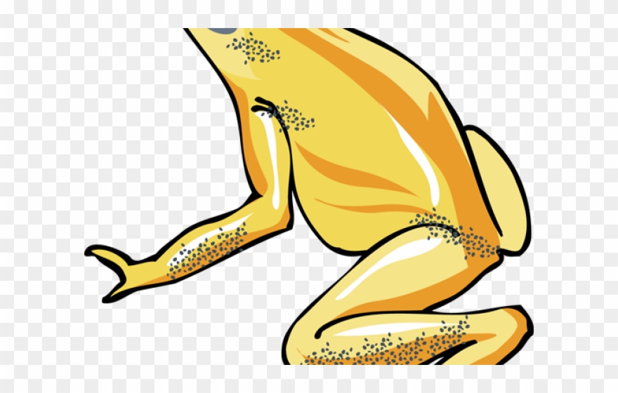 Tree Frog Clipart Transparent - Png Download