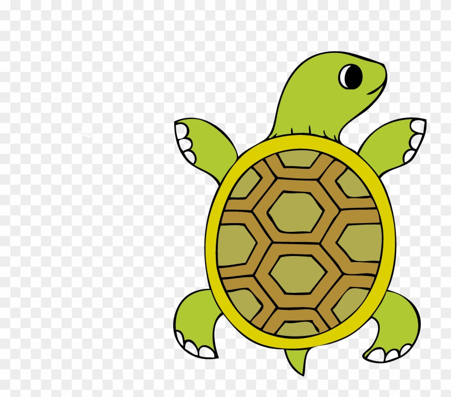 Tortoise Art Transprent Png Free Download Turtle Clipart