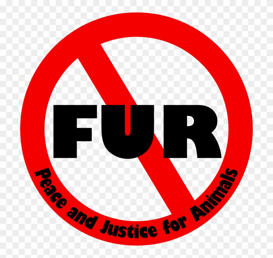 New Hampshire Animal Rights League Inc Help Beavers Clipart