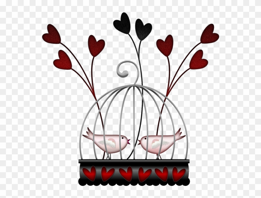 Explore Album, Bird Cages, And More Clipart