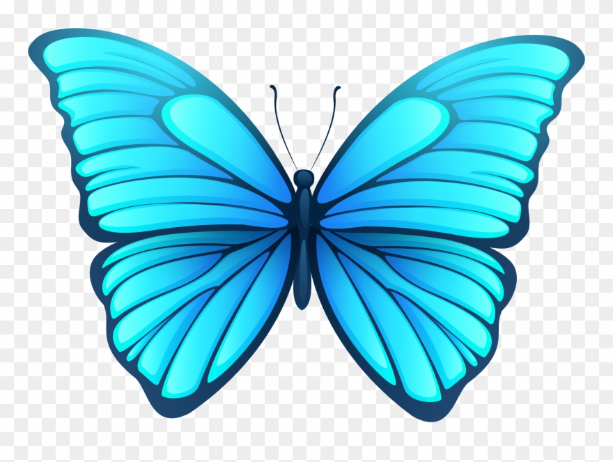 Butterfly Png Image Gallery Yopriceville High Quality Clipart